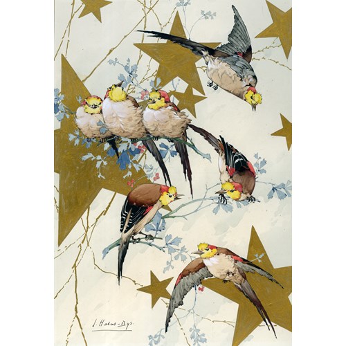 Illustration for Caprices Décoratifs: Oiseaux de la Nouvelle-Guinée [Birds of New Guinea])